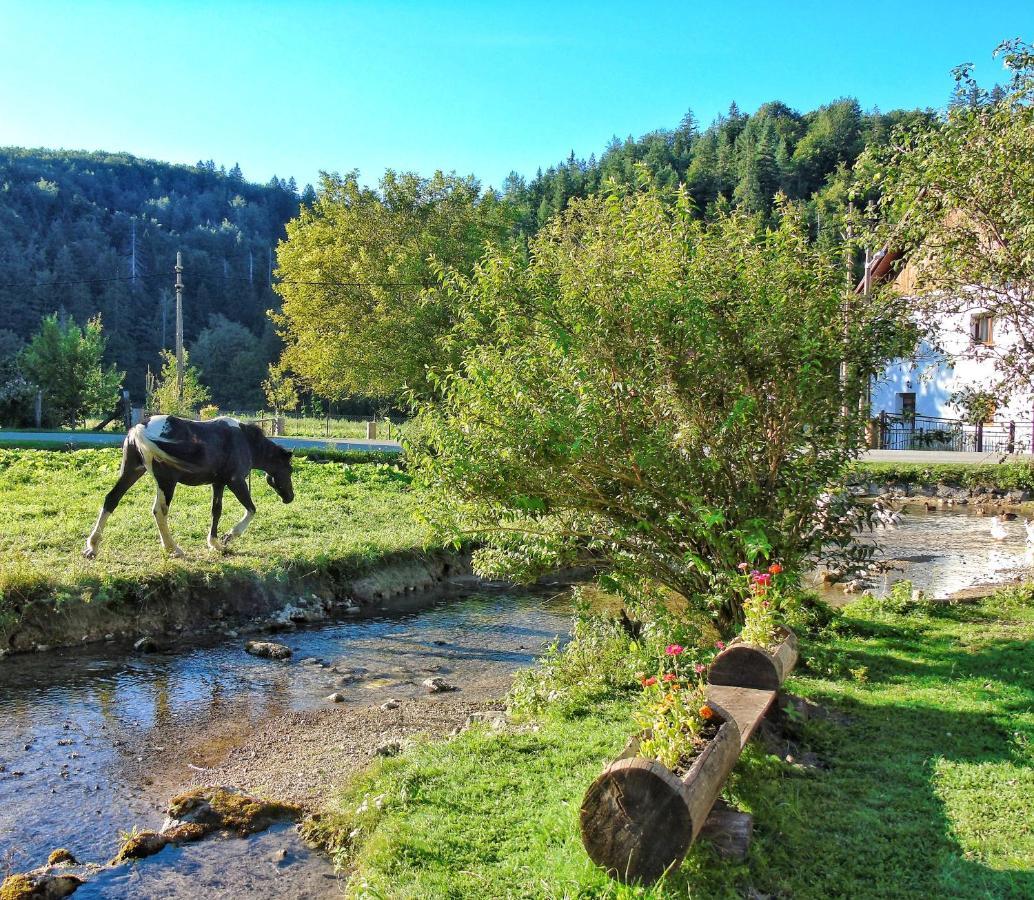 Guest House Koncar Plitvička Jezera Kültér fotó